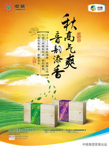 广告设计 艺术与商业的完美融合